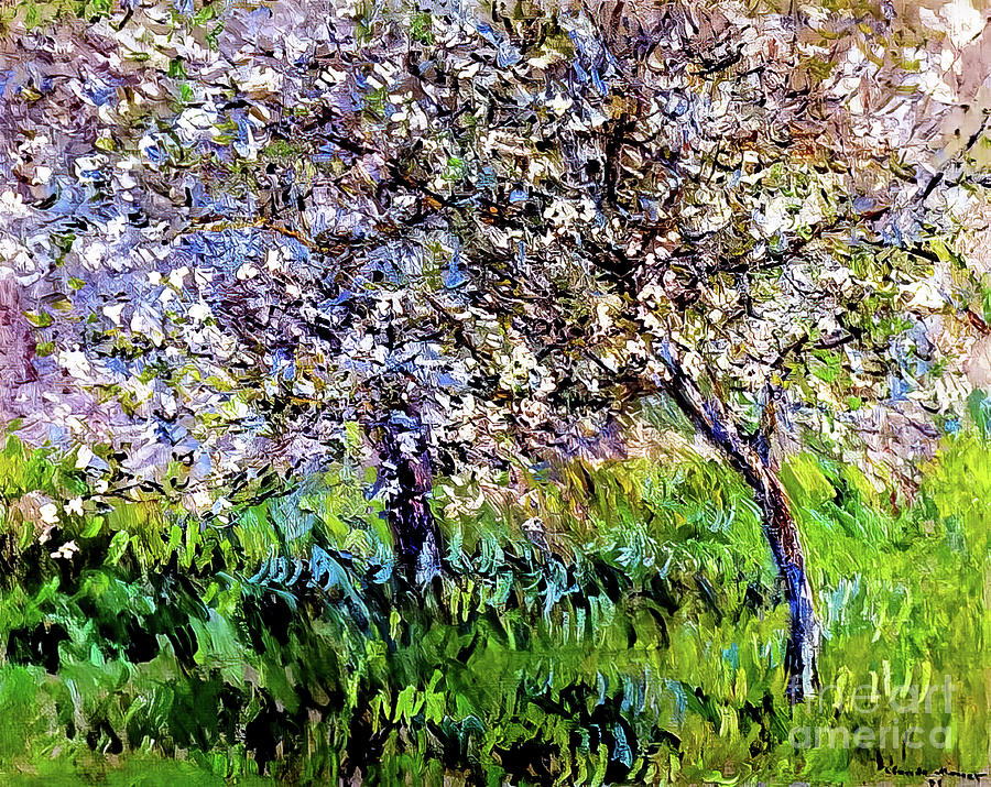 Apple Trees in Bloom at Giverny by Claude Monet 1901 Painting by Claude Monet