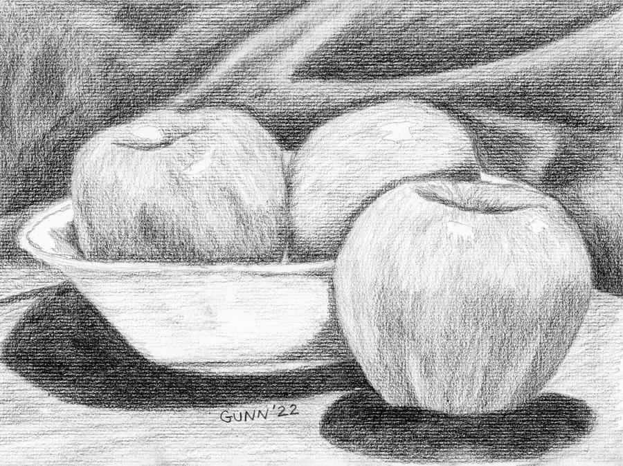 Apples 2 sketch Drawing by Katrina Gunn