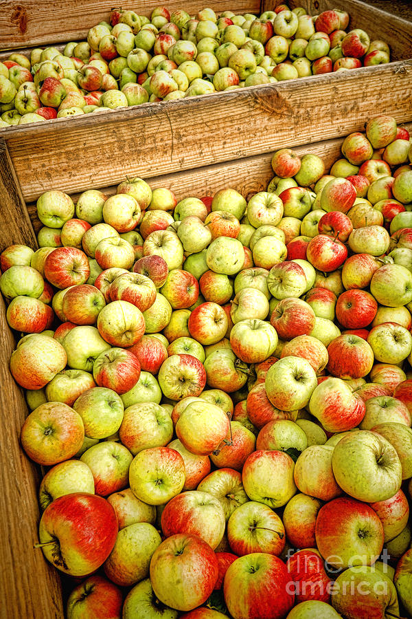 Apples at the Market Photograph by Olivier Le Queinec