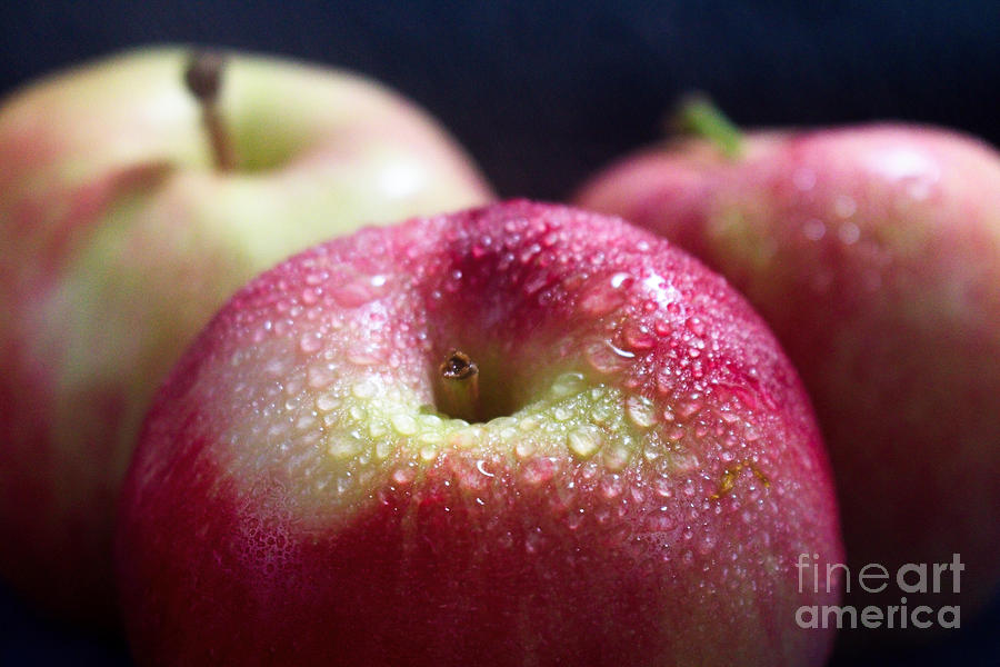 Apples dewy country fresh Photograph by Ella Kaye Dickey