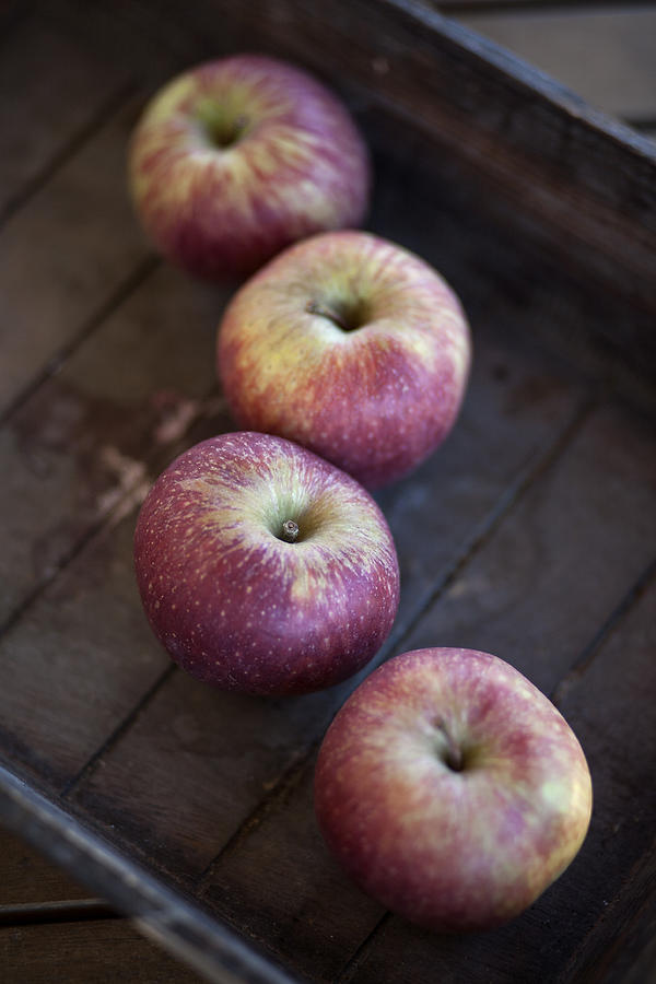 Apples Photograph by -elyn-