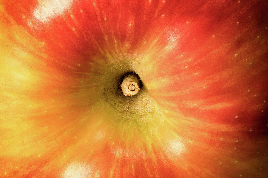 Apples Eye Photograph by Steven Nelson