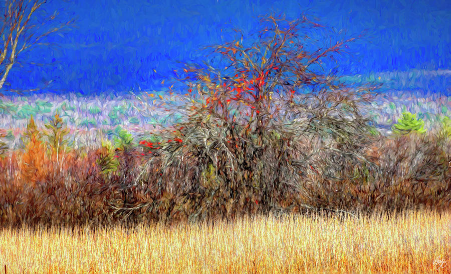 Apple in a Hedgerow No 4 by Wayne King Apple in a Hedgerow No 4 by Wayne King