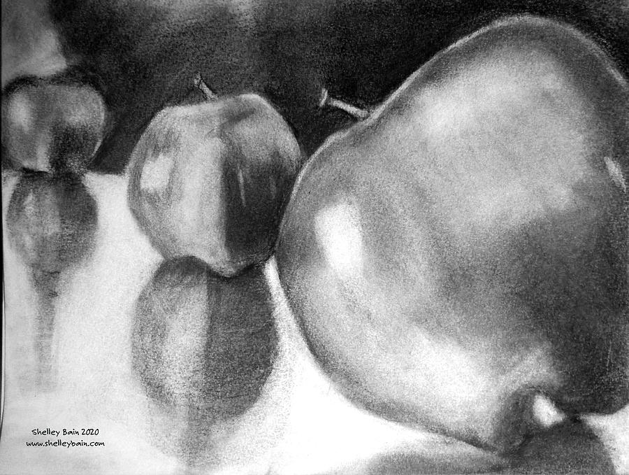 Apples in charcoal Drawing by Shelley Bain