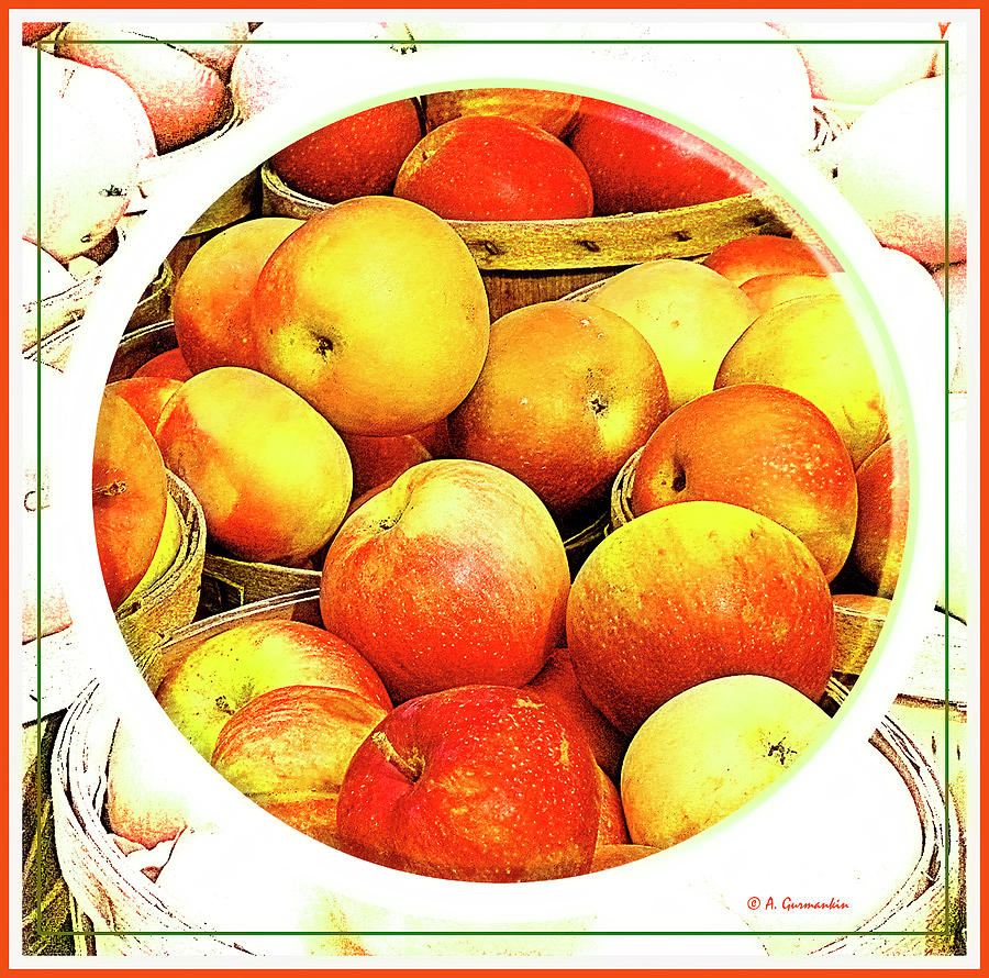 Apples in Wooden Baskets, Still Life Photograph by A Macarthur Gurmankin