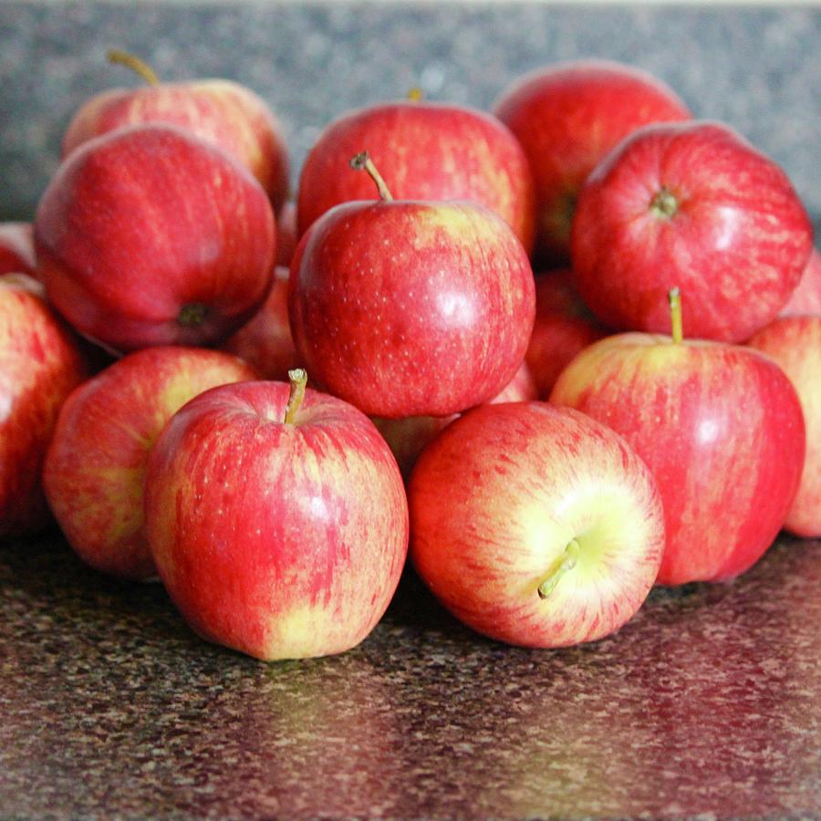 Apples Photograph by Lorna Maza