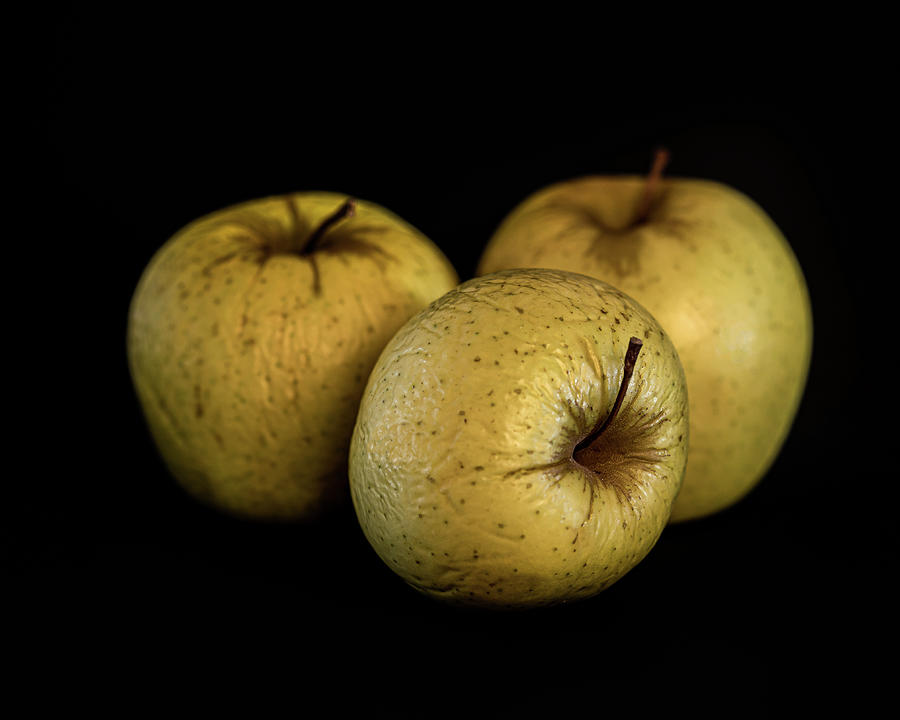 Apples Past Prime Photograph by Joe Myeress