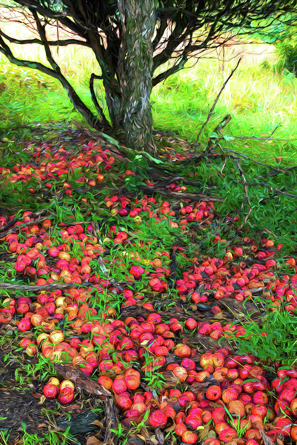 Applesauce ap Photograph by Dan Carmichael