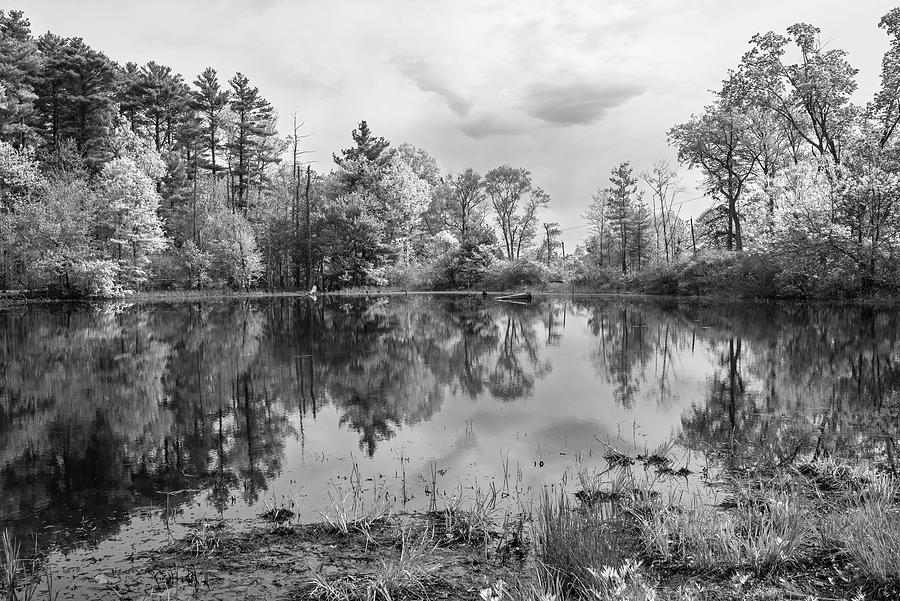 Appleton Farms Pond Hamilton Massachusetts Black and White Photograph by Toby McGuire