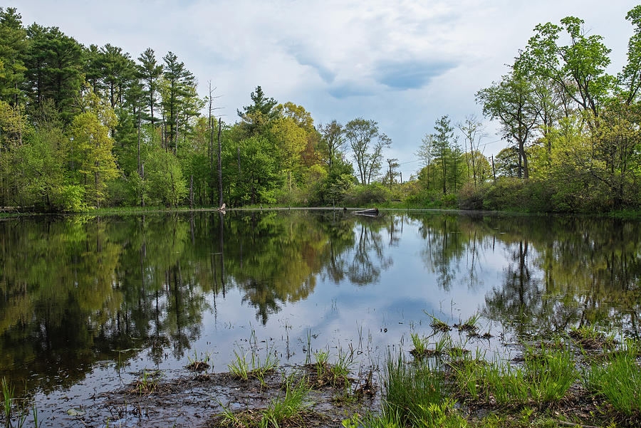 Appleton Farms Pond Hamilton Massachusetts Photograph by Toby McGuire