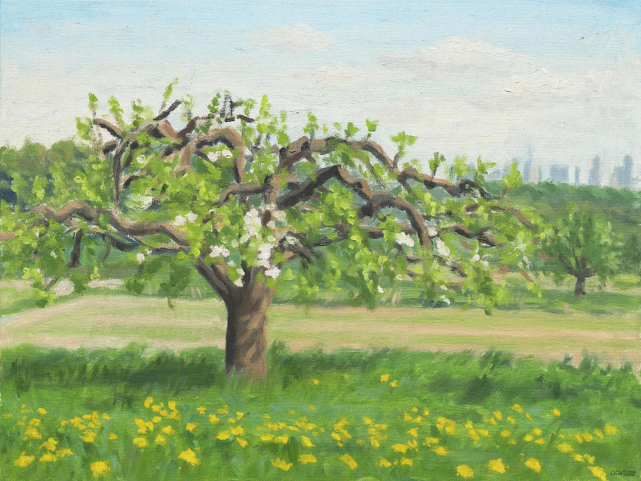 Appletree with skyline of Frankfurt  Painting by Constanza Weiss