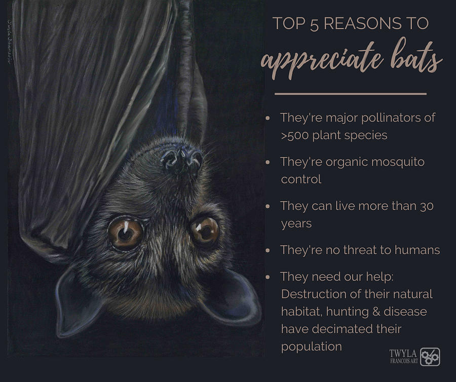 Appreciate Bats Painting by Twyla Francois