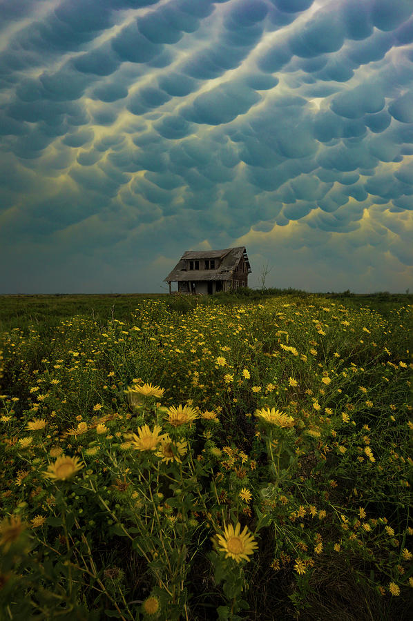 Apprehension Photograph by Aaron J Groen