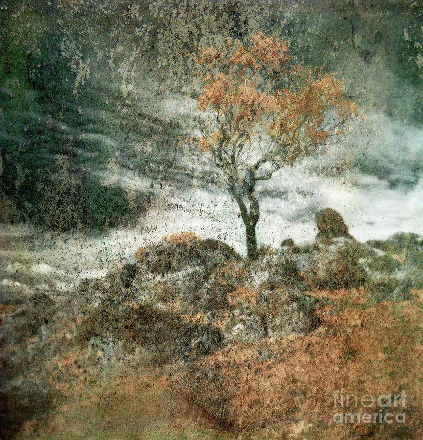 Tree Photograph - Approaching Storm - Impression by Russell Brown