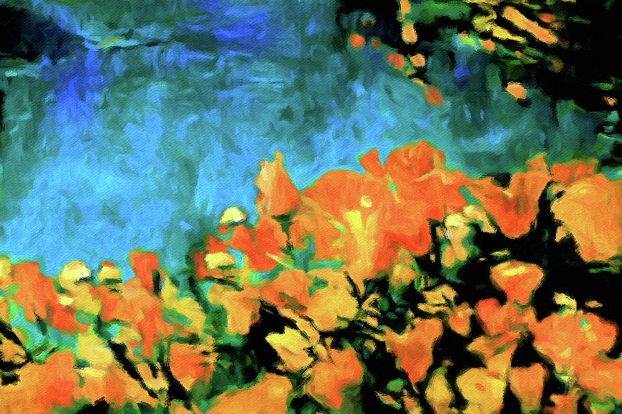 Apricot Orange Poppies Painting by Susan Maxwell Schmidt