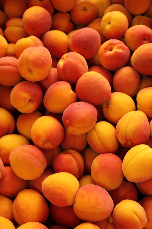 Apricots full frame Photograph by Pejft
