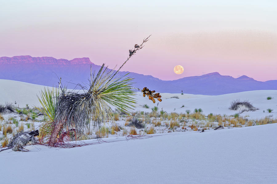 April 2020 Moonset over White Sands Photograph by Alain Zarinelli