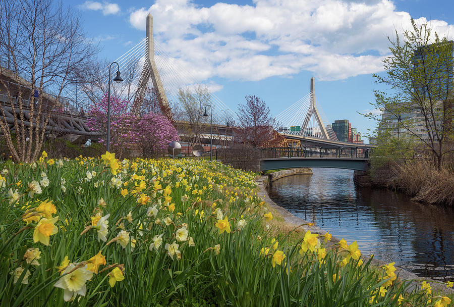 April Afternoon at the Zakim Bridge Photograph by Kristen Wilkinson