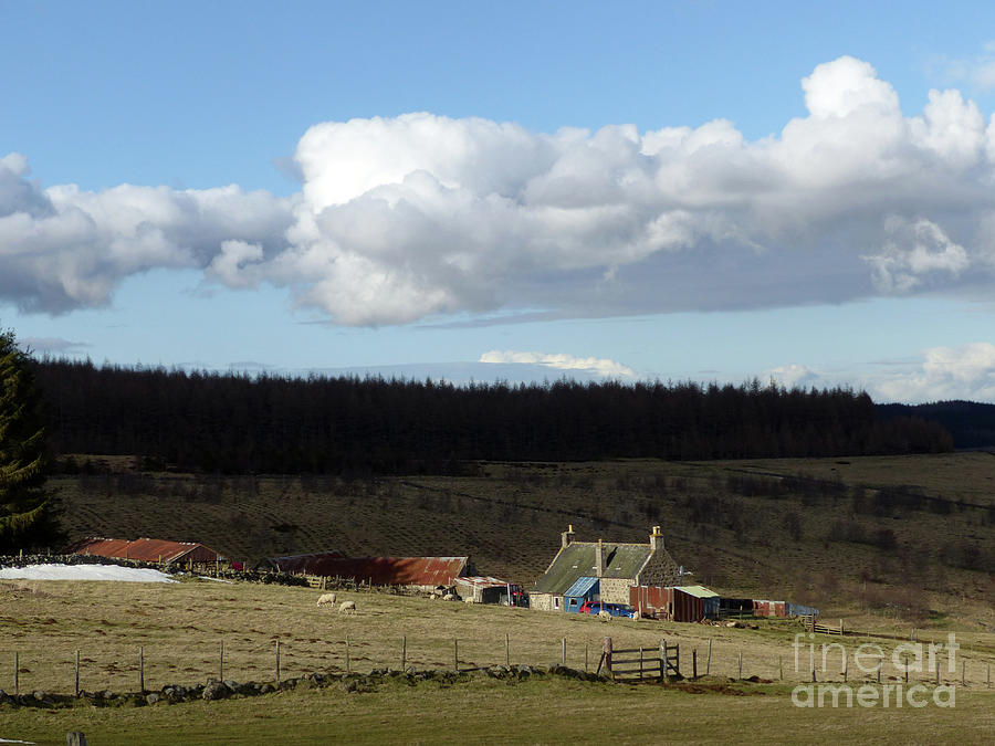 April evening - Cabrach Photograph by Phil Banks April evening - Cabrach Photograph by Phil Banks