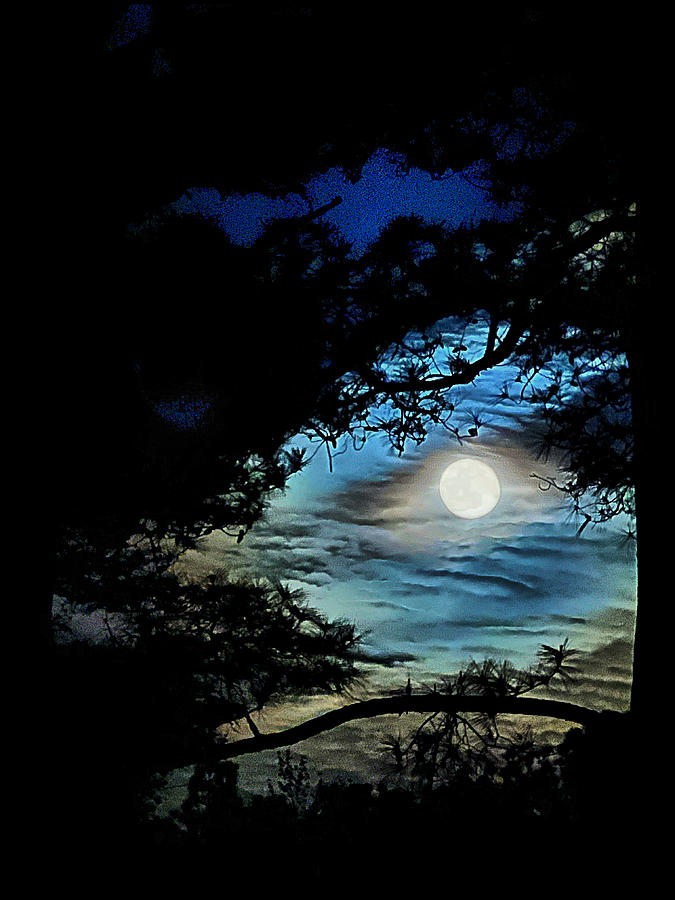 April Full moon Photograph by Stephen Dorton