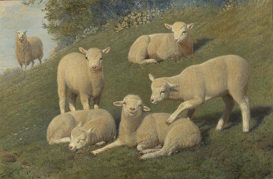 April Lambs In The Home Park At Windsor Drawing By Friedrich Wilhelm   April Lambs In The Home Park At Windsor Friedrichwilhelmkeyl 