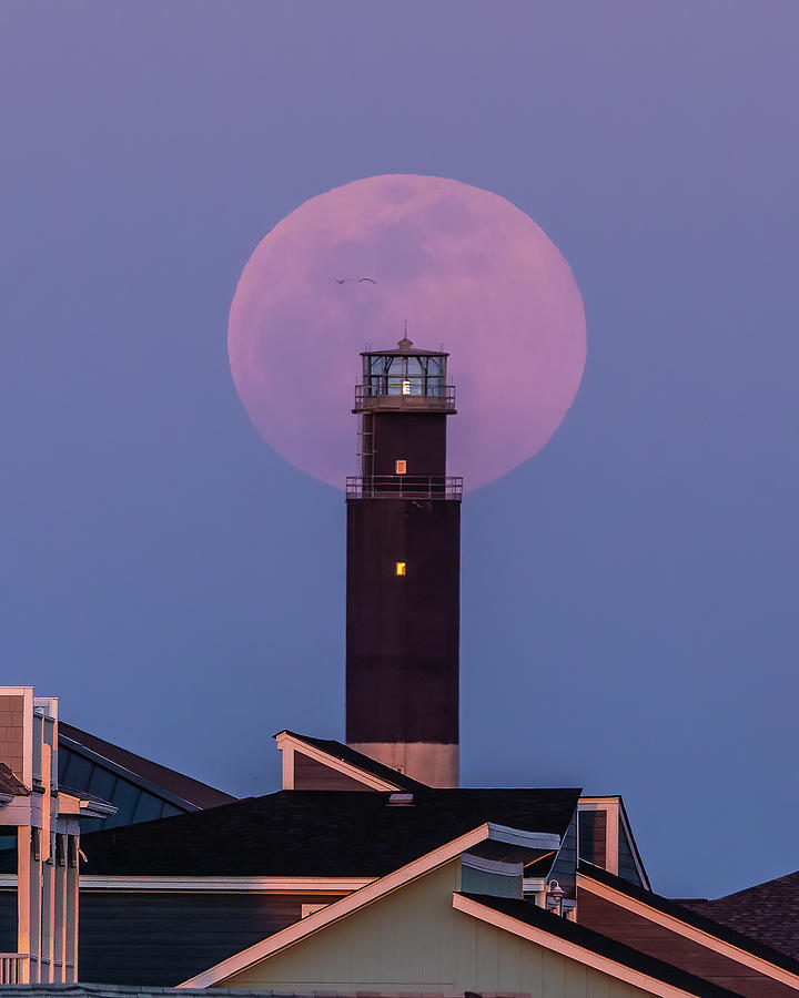 April Pink Supermoon Photograph by Nick Noble