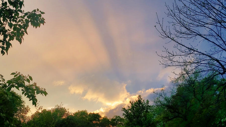 April Sunset in Tennessee  Photograph by Ally White