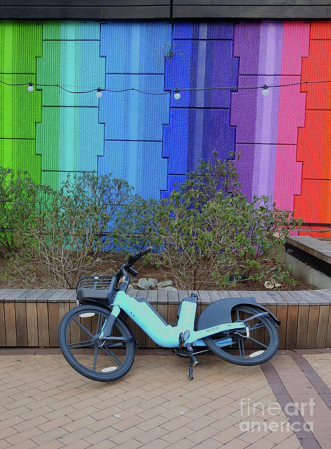 Aqua Bird Bike Seatless Rainbow Wall vertical glorijean  Photograph by GJ Glorijean