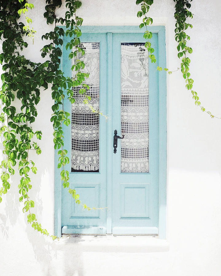 Aqua Door and Green Vine Photograph by Lupen Grainne
