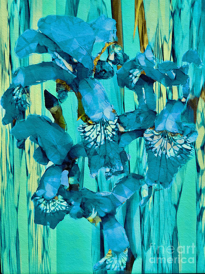 Aqua Irises Digital Art by Diana Rajala
