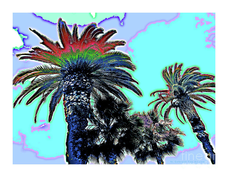 Aqua Palm Tops Digital Art by NL Galbraith