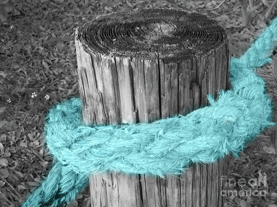 Rope Photograph - Aqua Rope by Mary Mikawoz