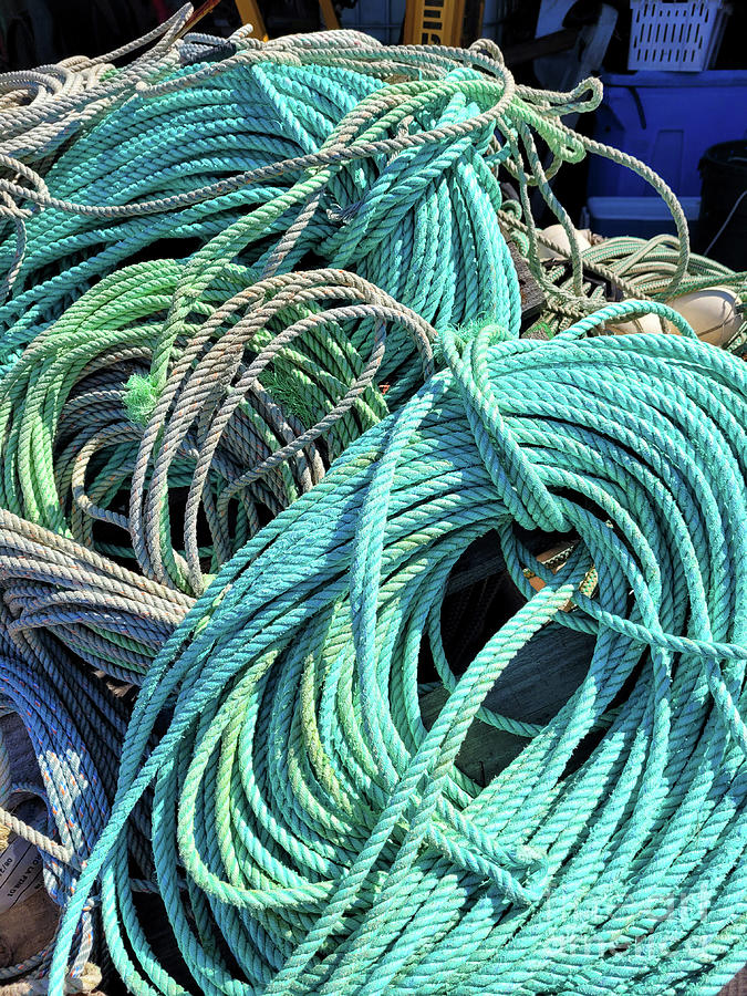 Aqua Rope Photograph by Norma Appleton