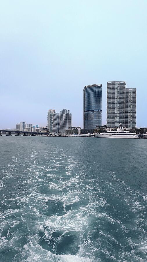 Skyscraper Pyrography - Aqua Tour Miami by Svilenka Dankova