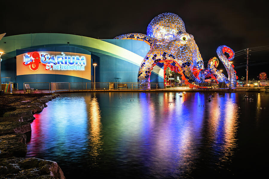 Aquarium At The Boardwalk Branson Missouri Photograph by Gregory Ballos Fine Art America
