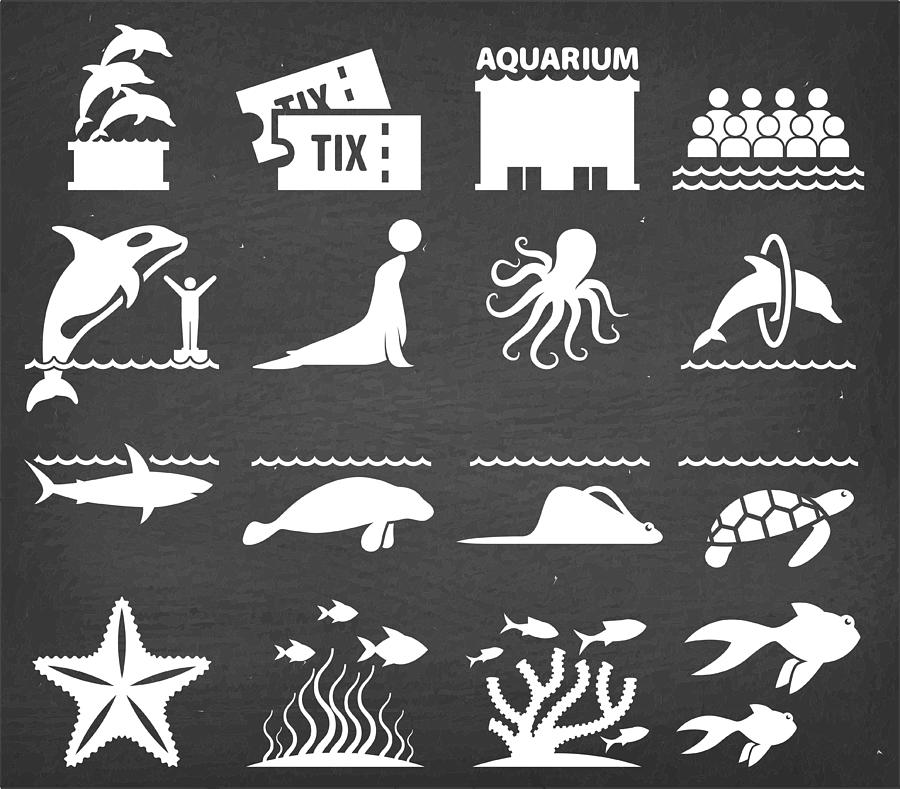 Aquarium Vector Icons Set on Black Chalkboard Drawing by Bubaone