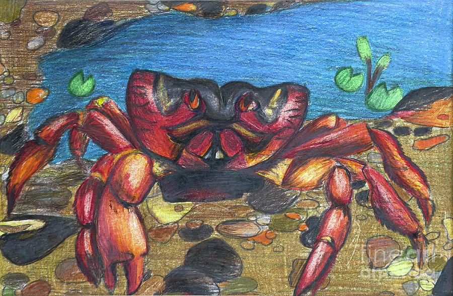 Aquatic Ascent - Colored Pencils Crab Climbing Seascape Drawing by Djurdjina Jovanovic
