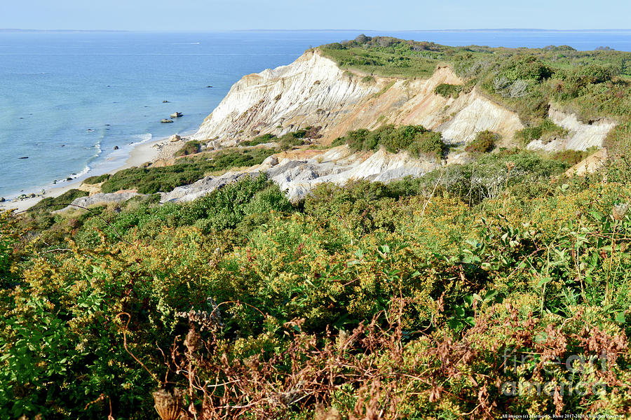 Aquinnah Cliffs Overlook Martha's Vineyard Massachusetts Beach Dunes
