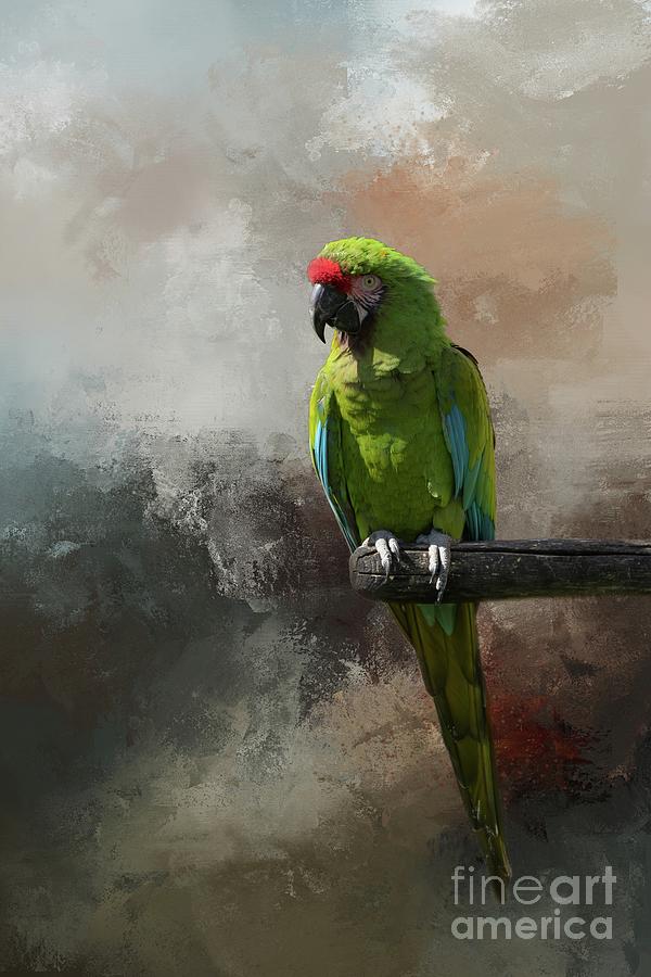 Great Green Macaw Mixed Media - Ara Ambiguus by Eva Lechner