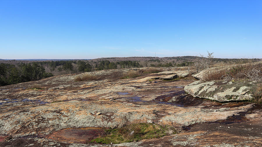 Arabia Mountain Summit View Photograph by Ed Williams