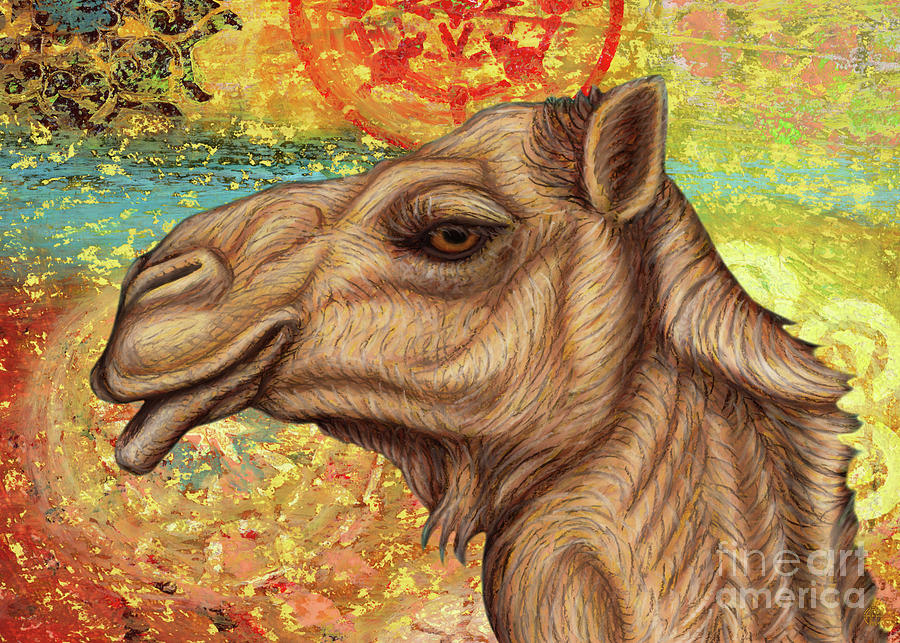 Arabian Camel Abstract Painting by Amy E Fraser