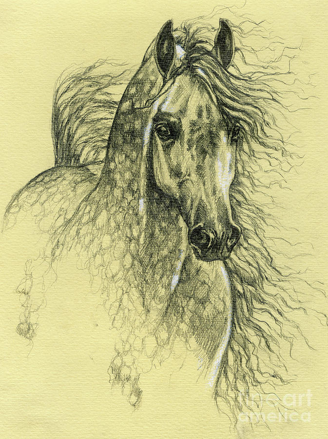 Arabian horse 2003 Drawing by Ang El