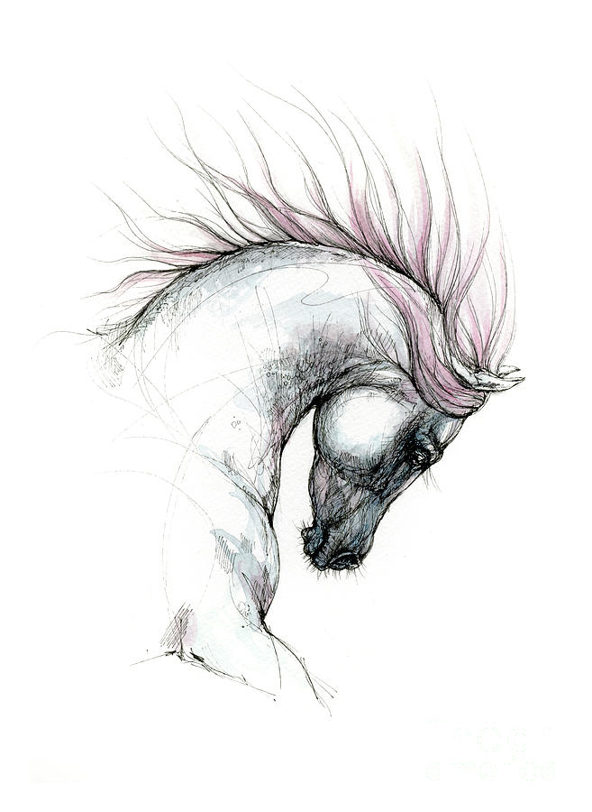 Horse Painting - Arabian horse head 2019 09 04 by Ang El
