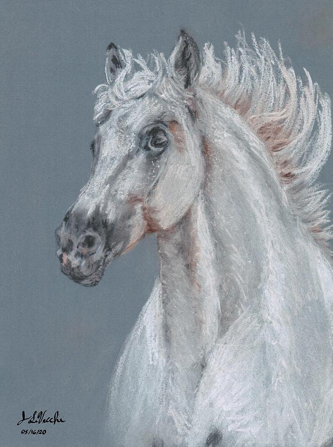 Arabian Pastel by Joanna LiVecchi | Fine Art America