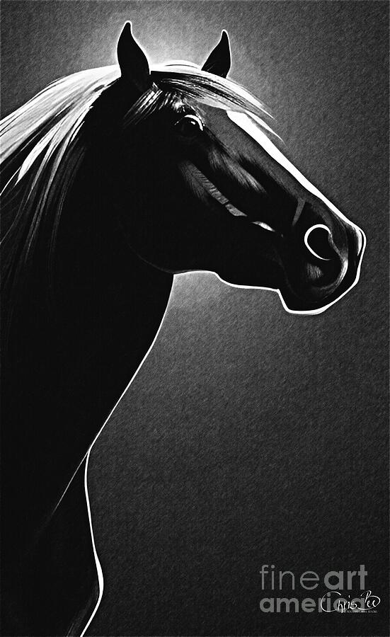 Arabian stallion - portrait Digital Art by Chris Bee