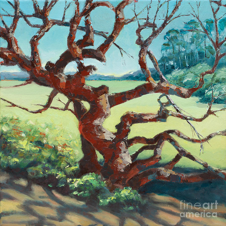 Arana Gulch Oak, 2019 Painting by PJ Kirk