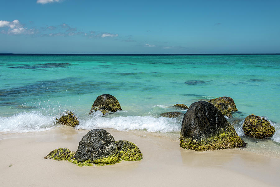 Arashi Beach in Aruba Photograph by Debra Martz