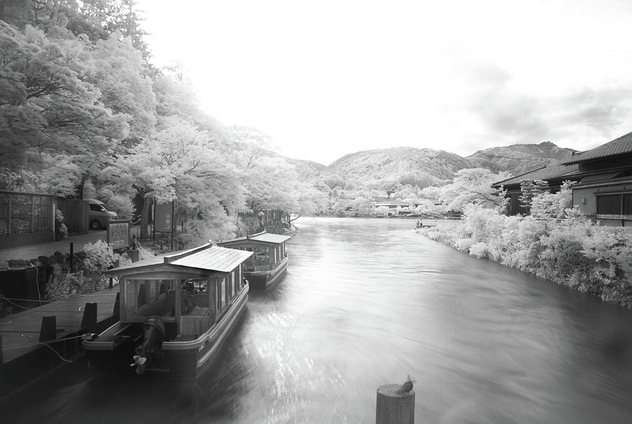 Arashiyama, Kyoto Photograph by Eugene Nikiforov