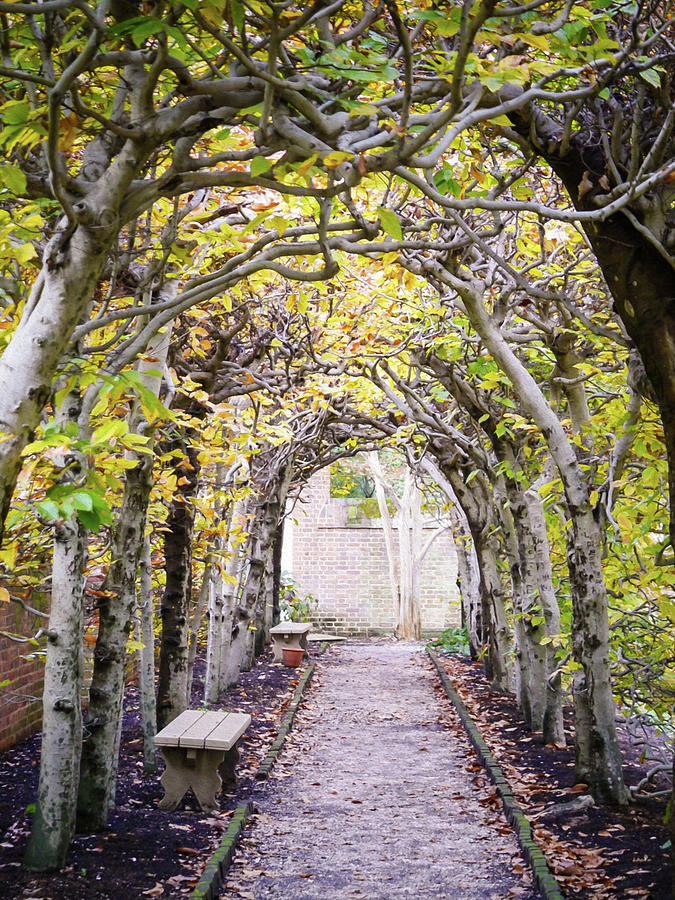 Arbor at the Palace in Autumn - Oil Painting Style Photograph by Rachel Morrison