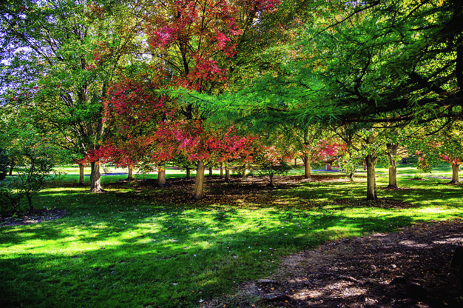 Landscape Photograph - Arboretum Color by David Patterson